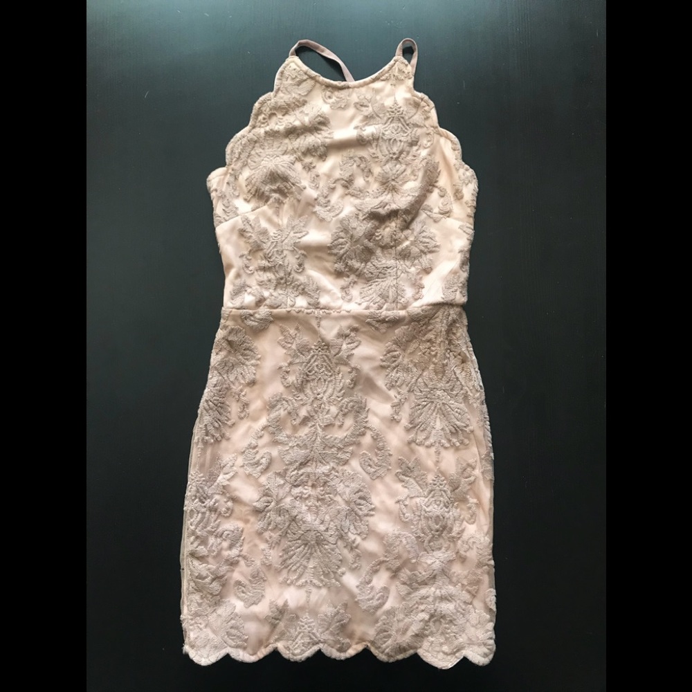 Fitted Embroidered Lace Dress